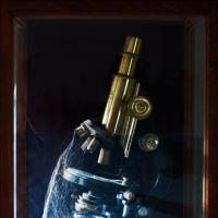 The History Of Science