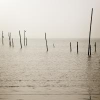 Stakes