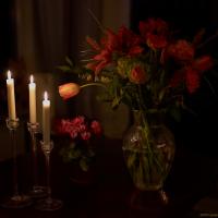 Still Life